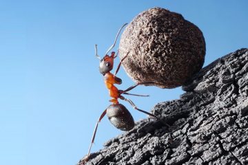 קידום סטארטאפ – האם זה אפשרי?